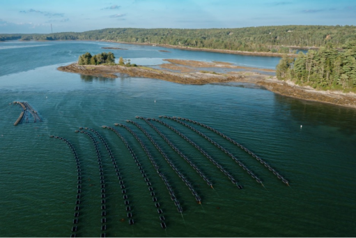 An aerial view of a sea farm