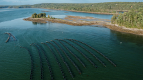 Aquaculture from Above