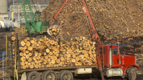 Logging truck unloading logs