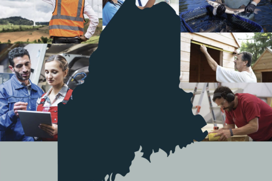 Industry Partnership Program